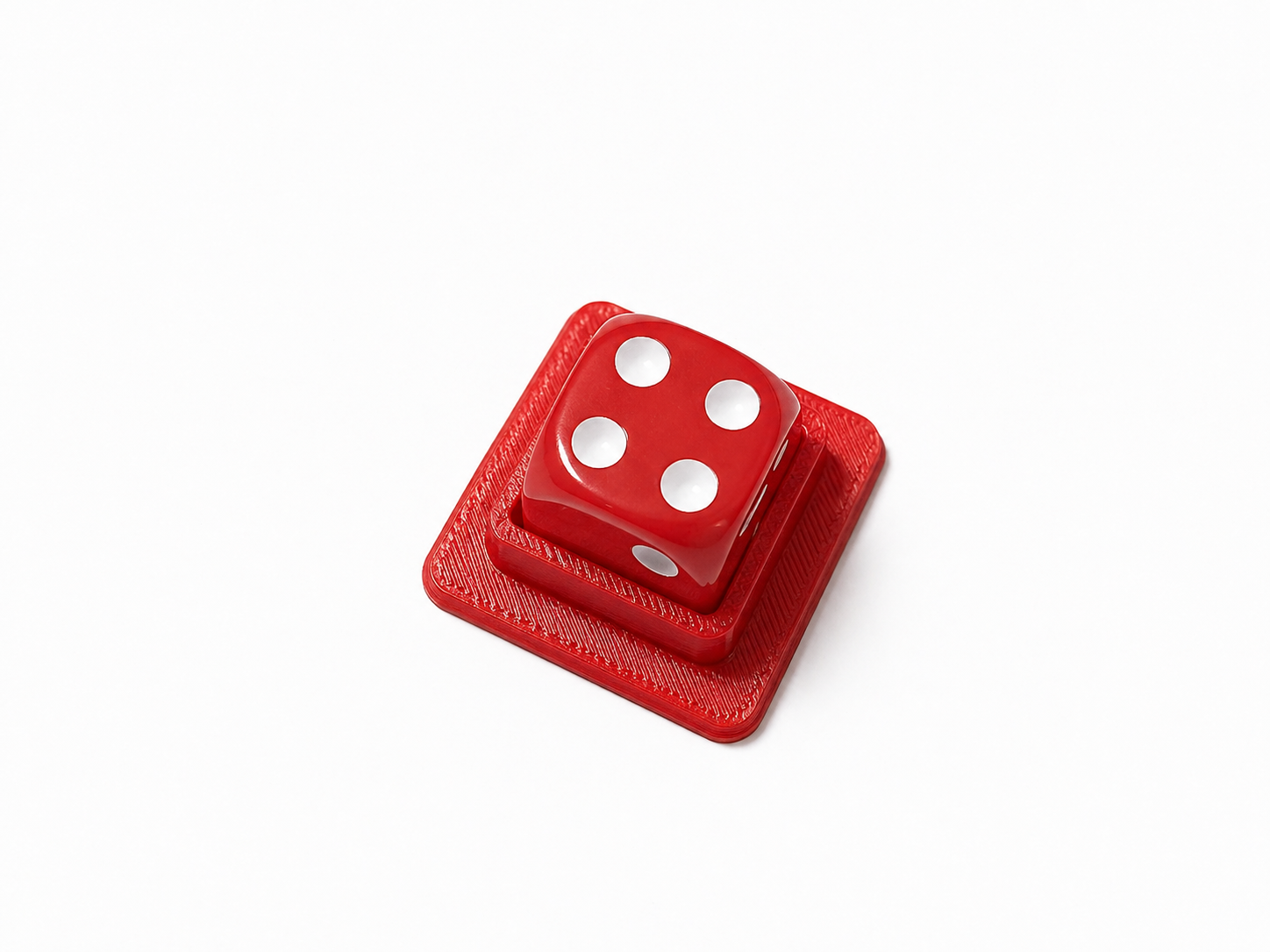 D6 Dice Holder