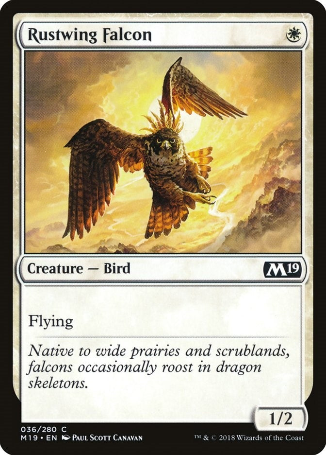 Image for Rustwing Falcon (36) (M19) - Magic: The Gathering