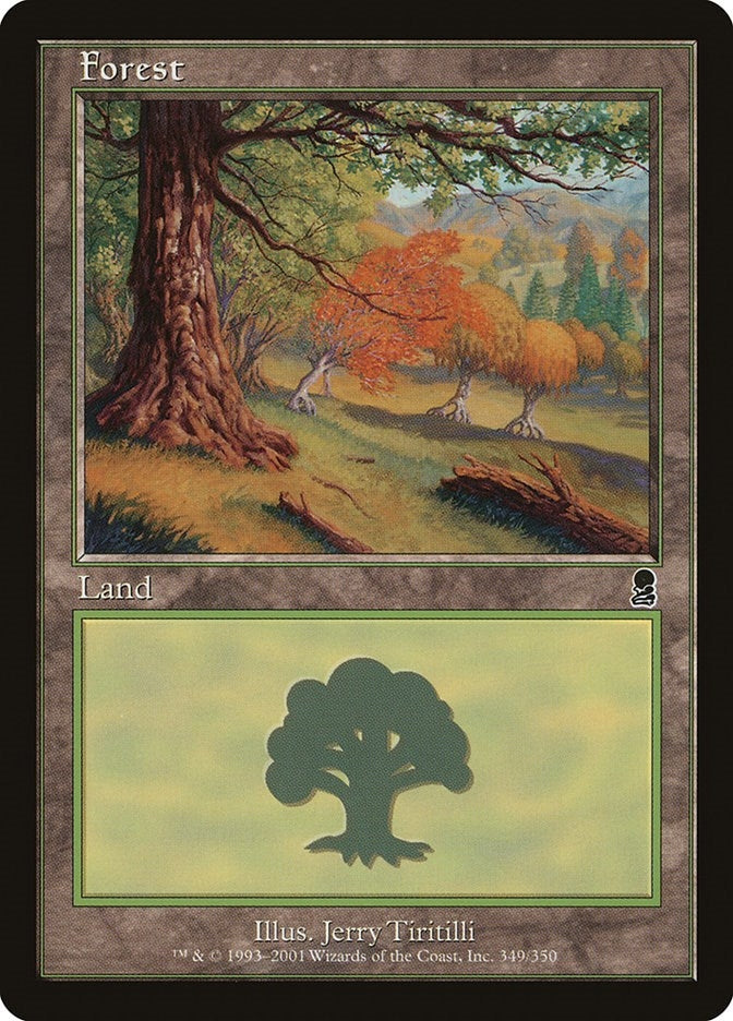 Image for Forest (349) (349) (ODY) - Magic: The Gathering