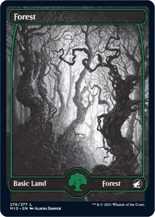 Forest (276) (276) (MID)