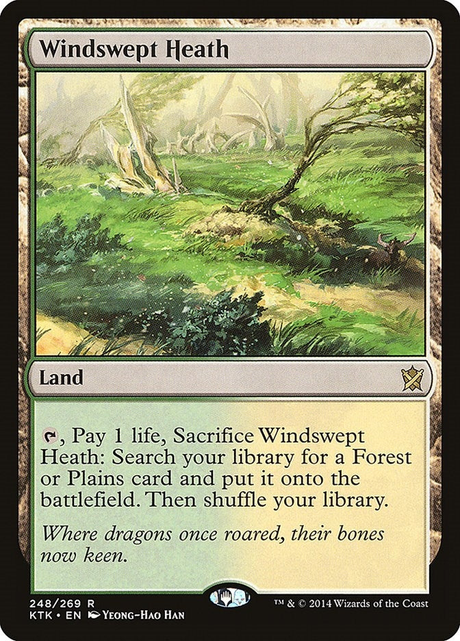Image for Windswept Heath (248) (KTK) - Magic: The Gathering