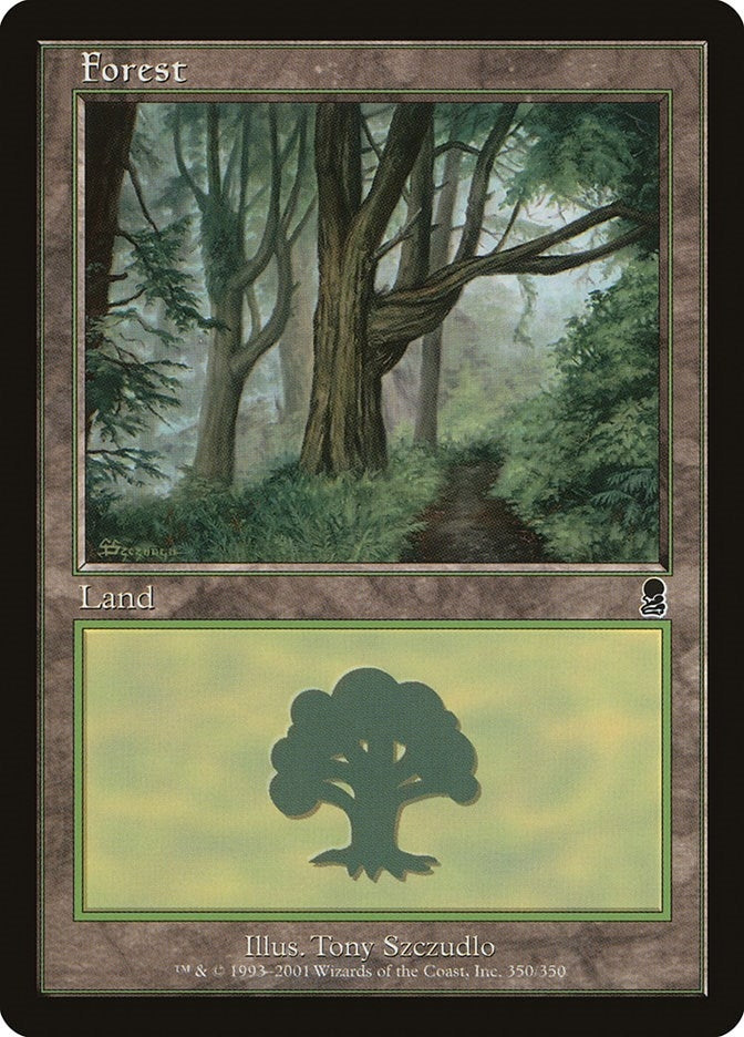 Image for Forest (350) (350) (ODY) - Magic: The Gathering