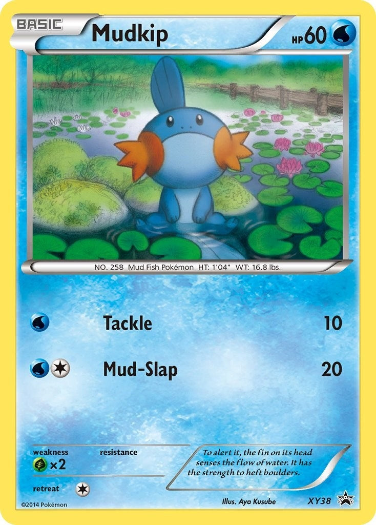 Image for Mudkip - XY38 (XY38) (PR) - Pokemon